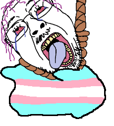 Fullsized image