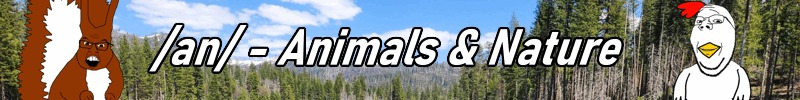 Board banner